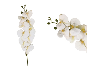 Orchidej Phalaenopsis 90 cm, bílá
