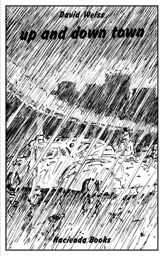 David Weiss - up and down town / Regenbüchlein