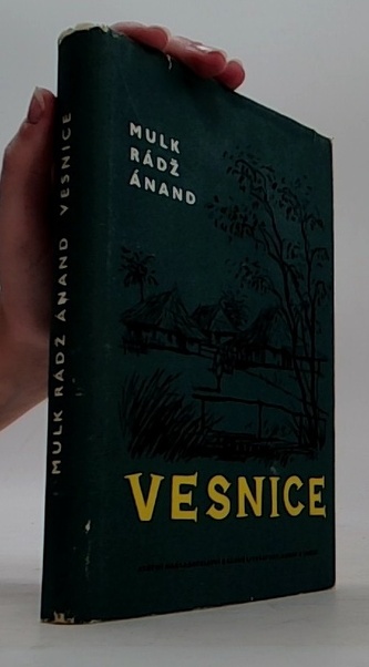 Vesnice