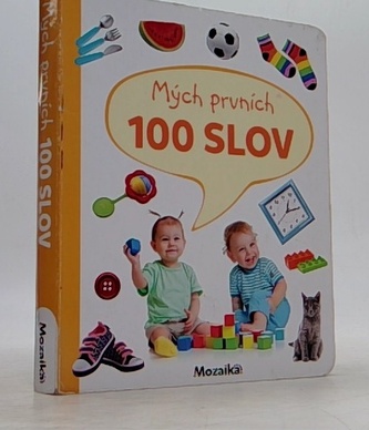 Mých prvních 100 slov