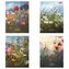 Zeszyt A5/60K linia Romantic Meadow (10szt)
