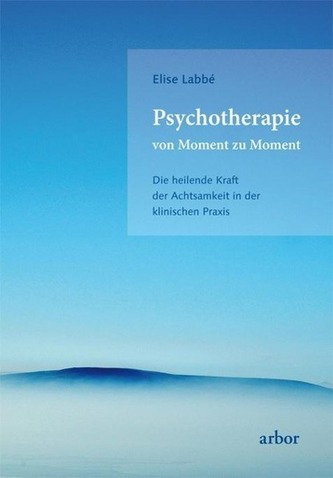 Psychotherapie von Moment zu Moment