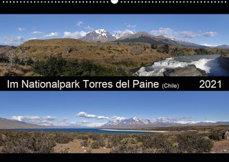 Im Nationalpark Torres del Paine (Chile) (Wandkalender 2021 DIN A2 quer)