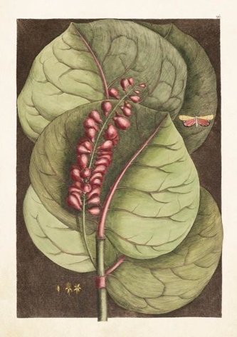 Karnet ST297 B6 + koperta Liść z czerwonymi kwiata