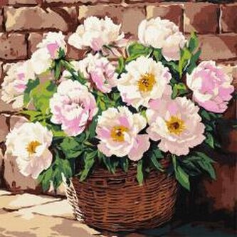 Malowanie po numerach - Delikatny aromat 40x40cm