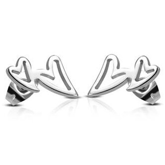 OPN1310 Ocelové náušnice - srdíčka - srdce