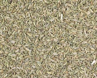 Bylinný čaj Fenykl plod - celý (Foeniculi) 50 g