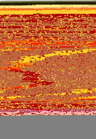 Metallographie in Qualitätssicherung und Schadensanalyse