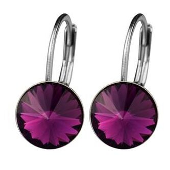 NBS08-AM Ocelové náušnice s krystaly Swarovski® AMETHYST