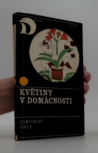 Květiny v domácnosti