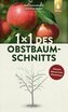 1 x 1 des Obstbaumschnitts