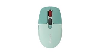 CANYON mouse MW-26 LCD Silent Dual Mode Wireless Green