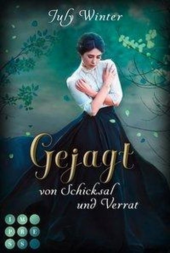 Gejagt von Schicksal und Verrat (Sturmwanderer 3)