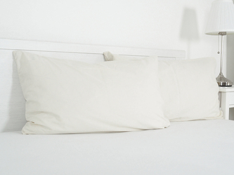 B.E.S. - Petrovice, s.r.o. Povlak na visco polštář bavlna popelín 45x75 cm - kávová