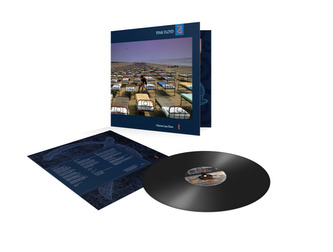 Pink Floyd:  A Momentary Lapse Of Reason
