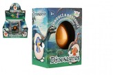Vejce líhnoucí a rostoucí dinosaurus 6cm v krabičce 8x11x5,5cm v 12 ks v boxu