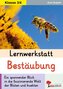 Lernwerkstatt Bestäubung