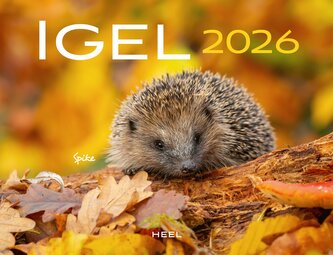Kalender Igel 2026 Eintragkalender