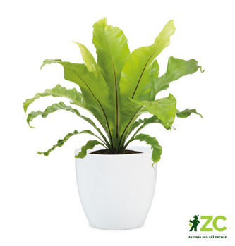 Obal 920 Alaska bílý lesk 09