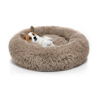 Pelech Jenny L Champagne