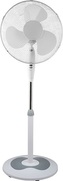 ECG FS 40a RB White