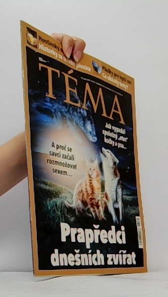 Téma 33/2017