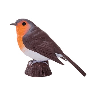 Mojo Červenka obecná