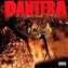 Pantera:  The Great Southern Trendkill
