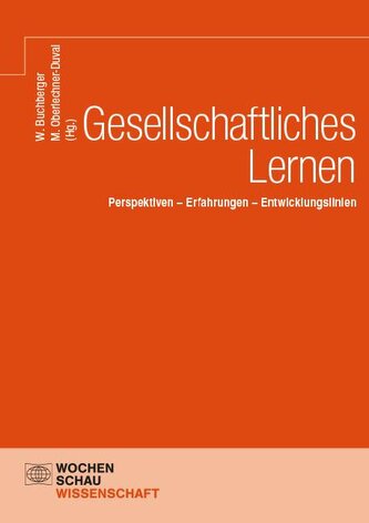 Gesellschaftliches Lernen