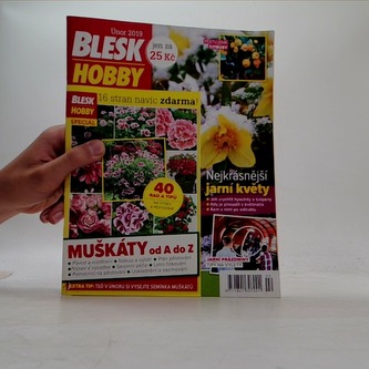 Blesk hobby únor 2019