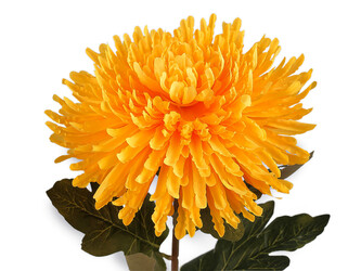 Umělá chryzantéma - 1 ks - 2 (Ø18 cm) žlutá otevřená