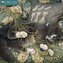 Ivory Cats - Lesley Anne Ivorys Katzen 2026 - Original Flame Tree Publishing-Kalender [Kalender]