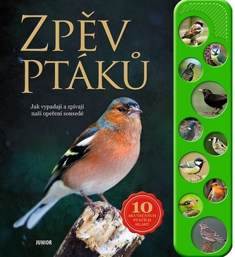 Zpěv ptáků