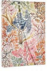 Kalendarz 2026 Anemone tygodniowy HOR Midi