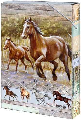 Box na sešity A4 Wild horses
