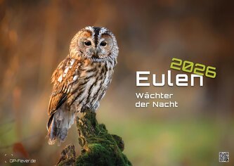Eulen - Wächter der Nacht - 2026 - Kalender DIN A3