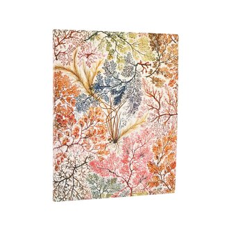 Business-Planer 2026 Anemone Ultra BUS