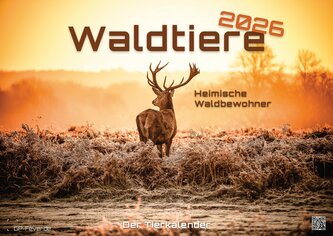 Waldtiere - Heimische Waldbewohner - Der Tierkalender - 2026 - Kalender DIN A2