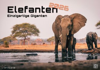 Elefanten - einzigartige Giganten - 2026 - Kalender DIN A2