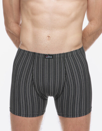 Pánské boxerky Gino vícebarevné (74183-MxCDxG) XL