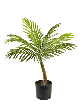 VIRIDIS Kwiat sztuczny H61cm palma w doniczce