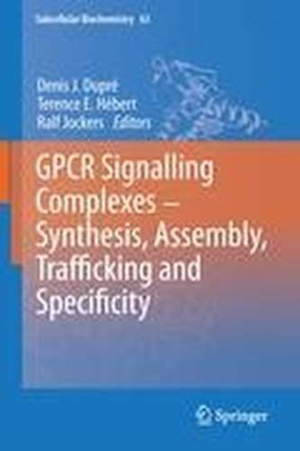 GPCR Signalling Complexes - Synthesis, Assembly, Trafficking and Specificity