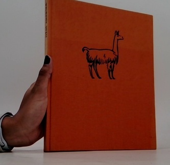 Jižní Amerika: země a život