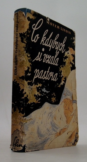 Co kdybych si vzala pastora