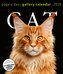 Cat Page-A-Day® Gallery Calendar 2026