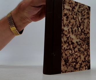 Máj a ostatní básně