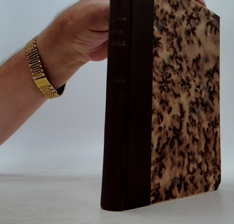 Marinka a jiné drobné prósy