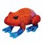 Żaba czerwona 13cm