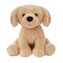 Pies Golden Retriever 25cm