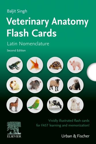 Lernkarten Veterinäranatomie / Veterinary Anatomy Flash Cards